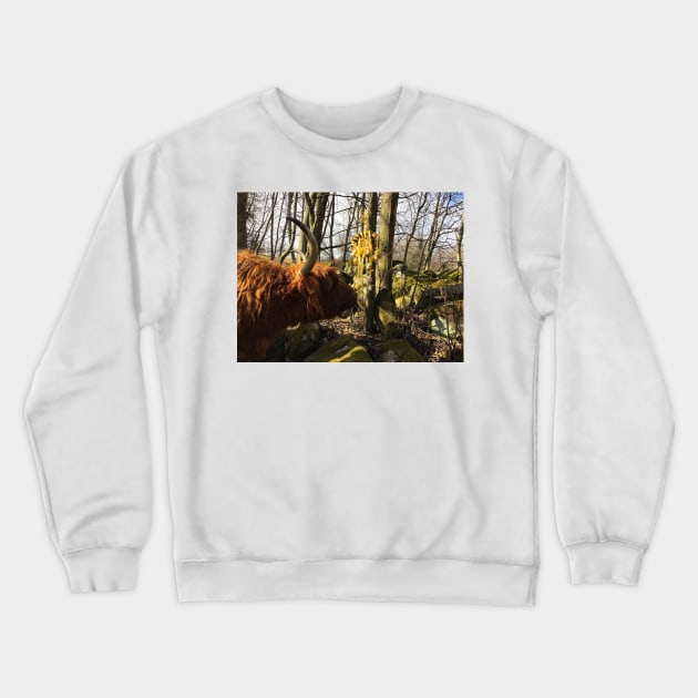 Scottish Highland Cattle Cow and Easter eggs 2348 Crewneck Sweatshirt by SaarelaHighland